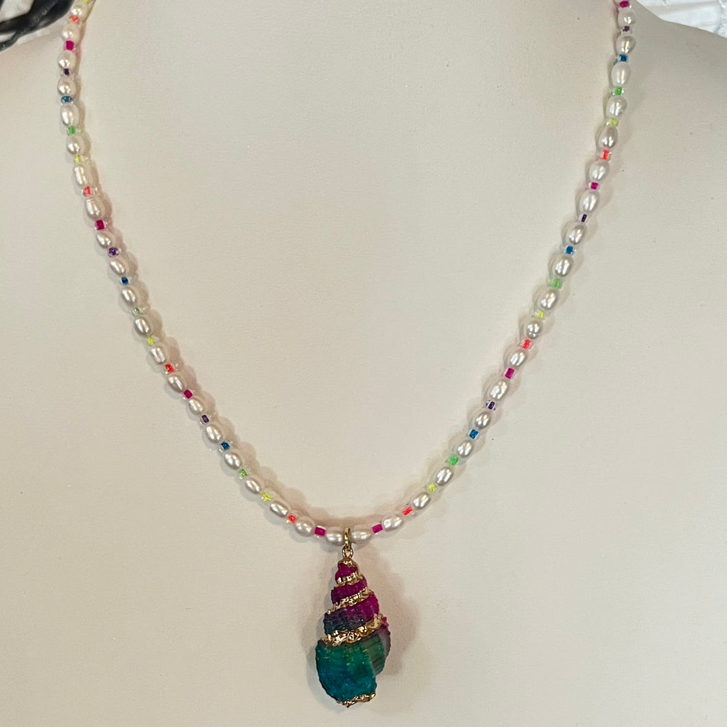 Rainbow Shell
