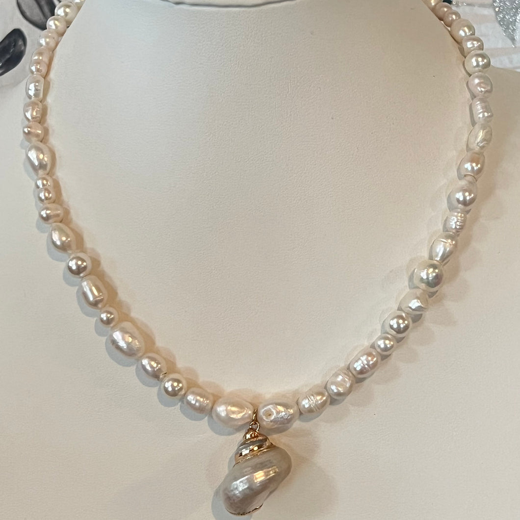 White and Gold Shell